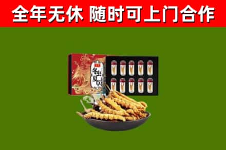 林州烟酒回收冬虫夏草礼盒.jpg