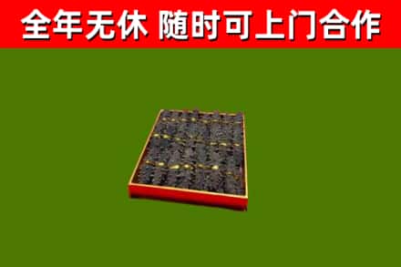 林州烟酒回收海参.jpg